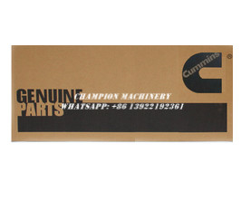 KIT,OVERHAUL 4309178 FOR CUMMINS 4B3.9/6B5.9-genuine cummins parts